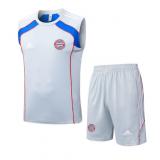 Chaleco+bermudas Bayern Munich 2025/26-Retro Gray